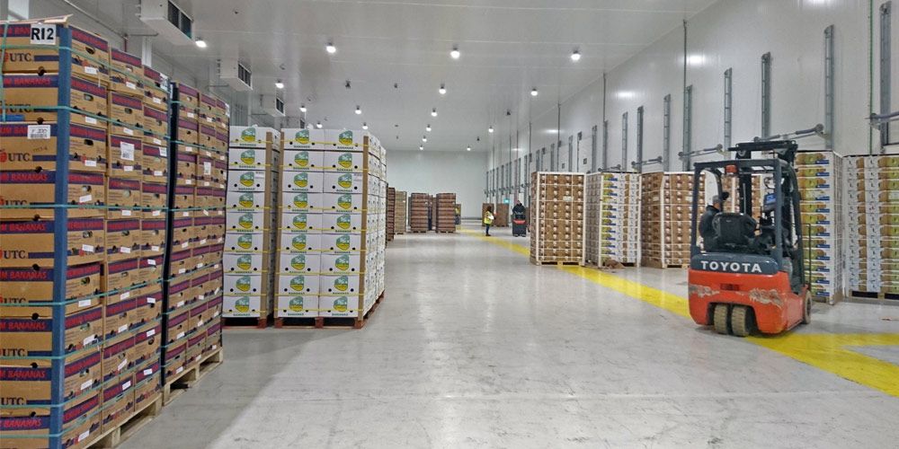 Instalaciones-reefer-de-Agromerchants-en-el-Puerto-de-Algeciras