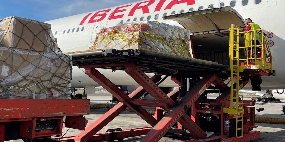 Carga aerea avion Iberia handling huelga