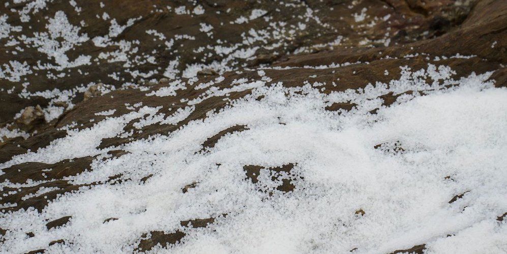 Pellets costa gallega