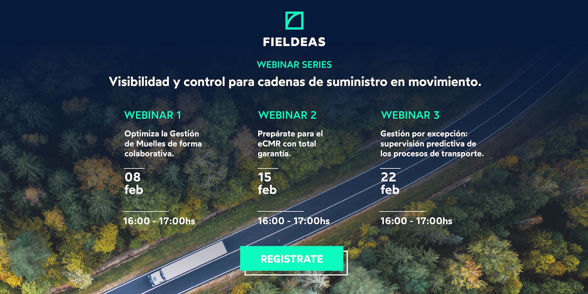 webinars Fieldeas febrero