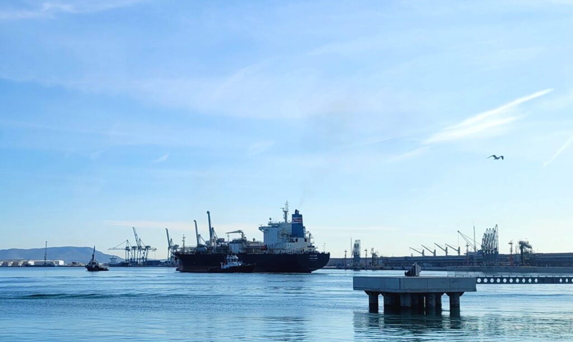 darsena sur puerto castelllon