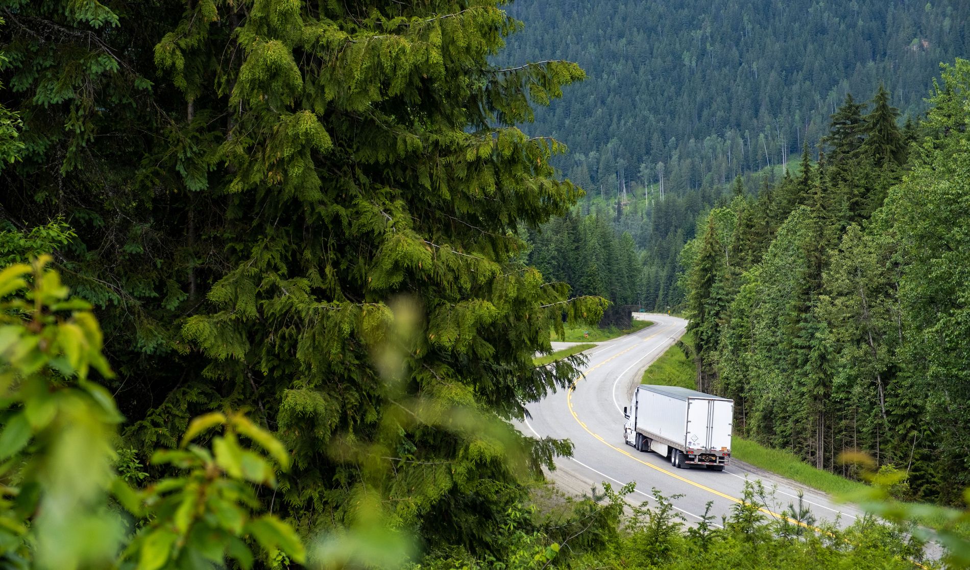 Flota sostenible eficiencia DKV