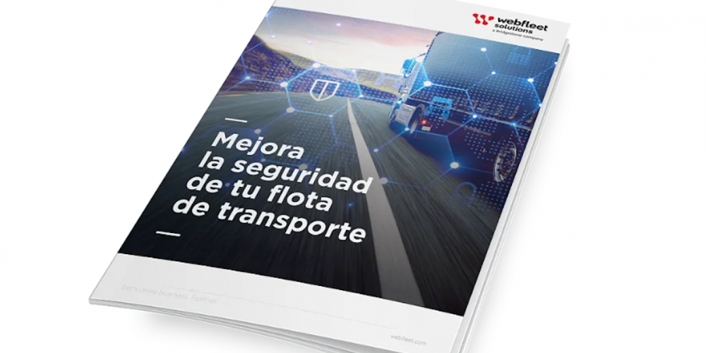 Guia Seguridad flota transporte