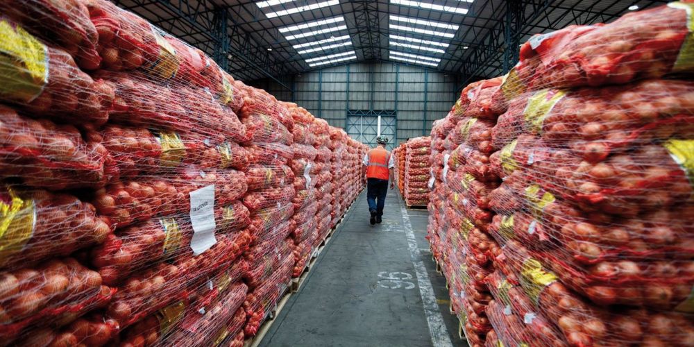 Euroports Fruit Terminal Amberes Euroports Fruit Terminal Amberes