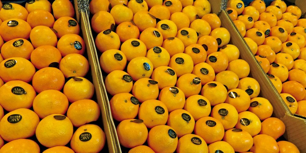 mandarinas mandarinas