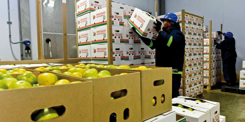 exportacion citricos puerto Cartagena exportacion citricos puerto Cartagena