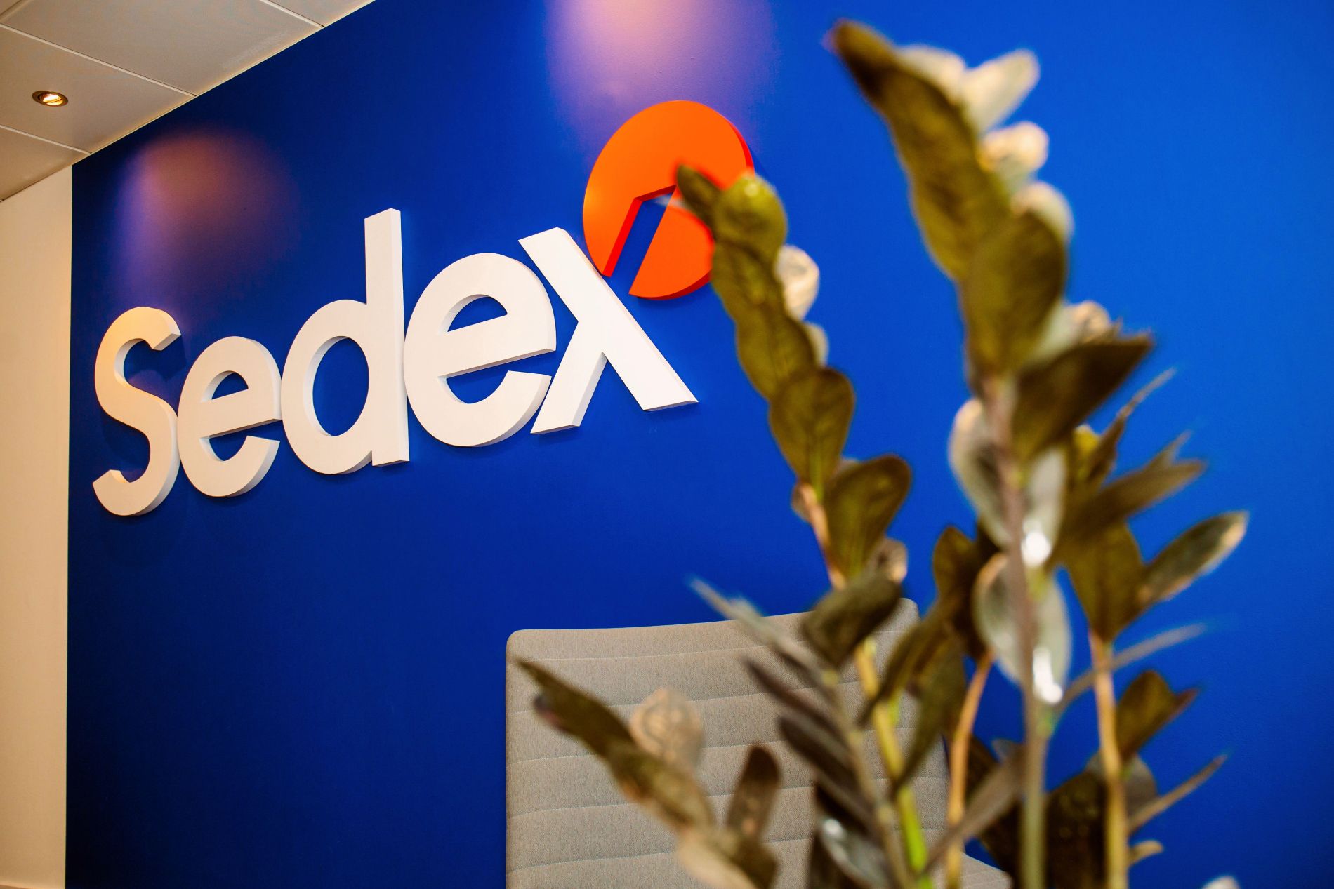 Sedex logo