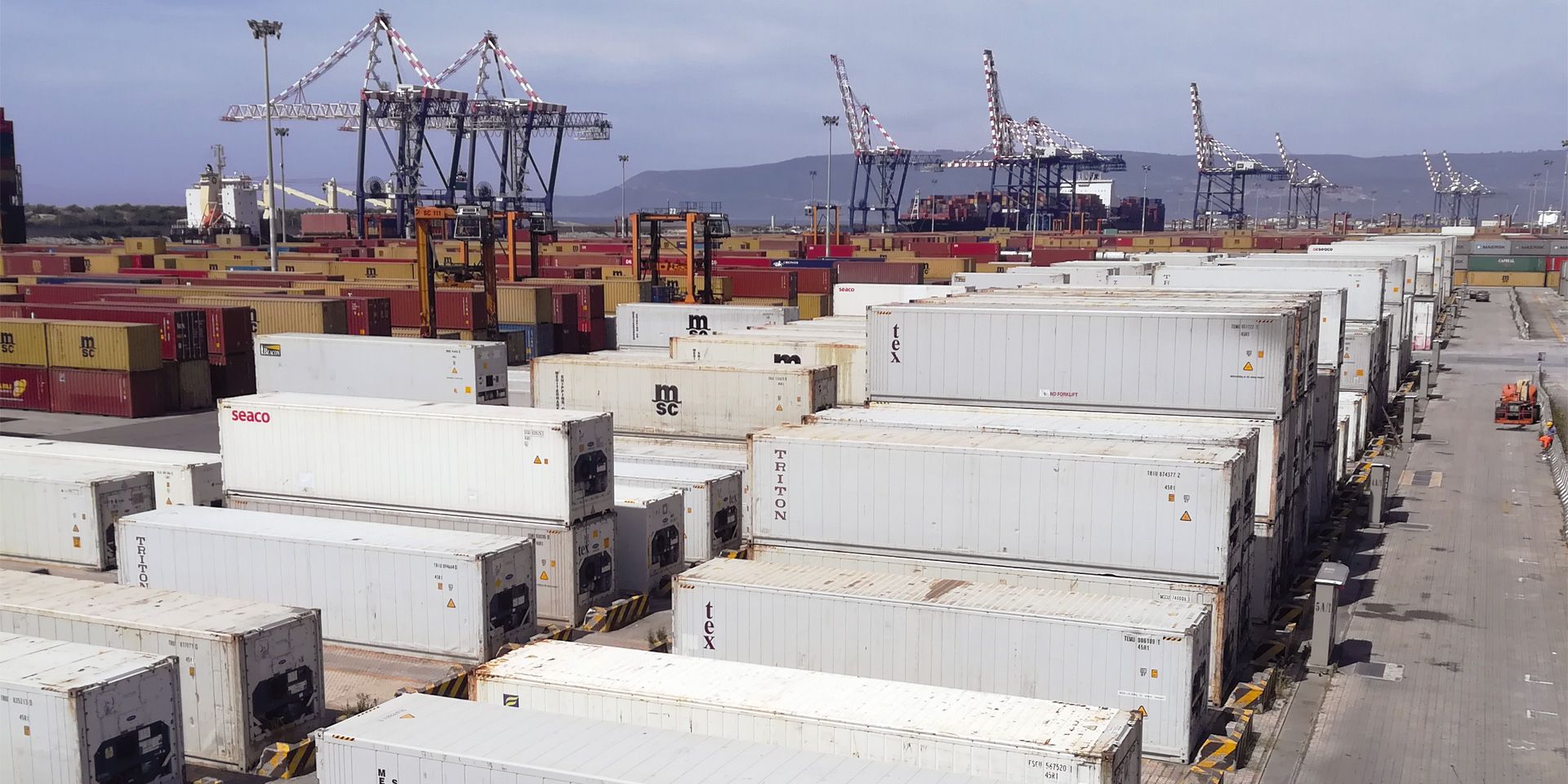 transporte frigorifico contenedores reefer contshipitalia en terminal transporte frigorifico contenedores reefer contshipitalia en terminal