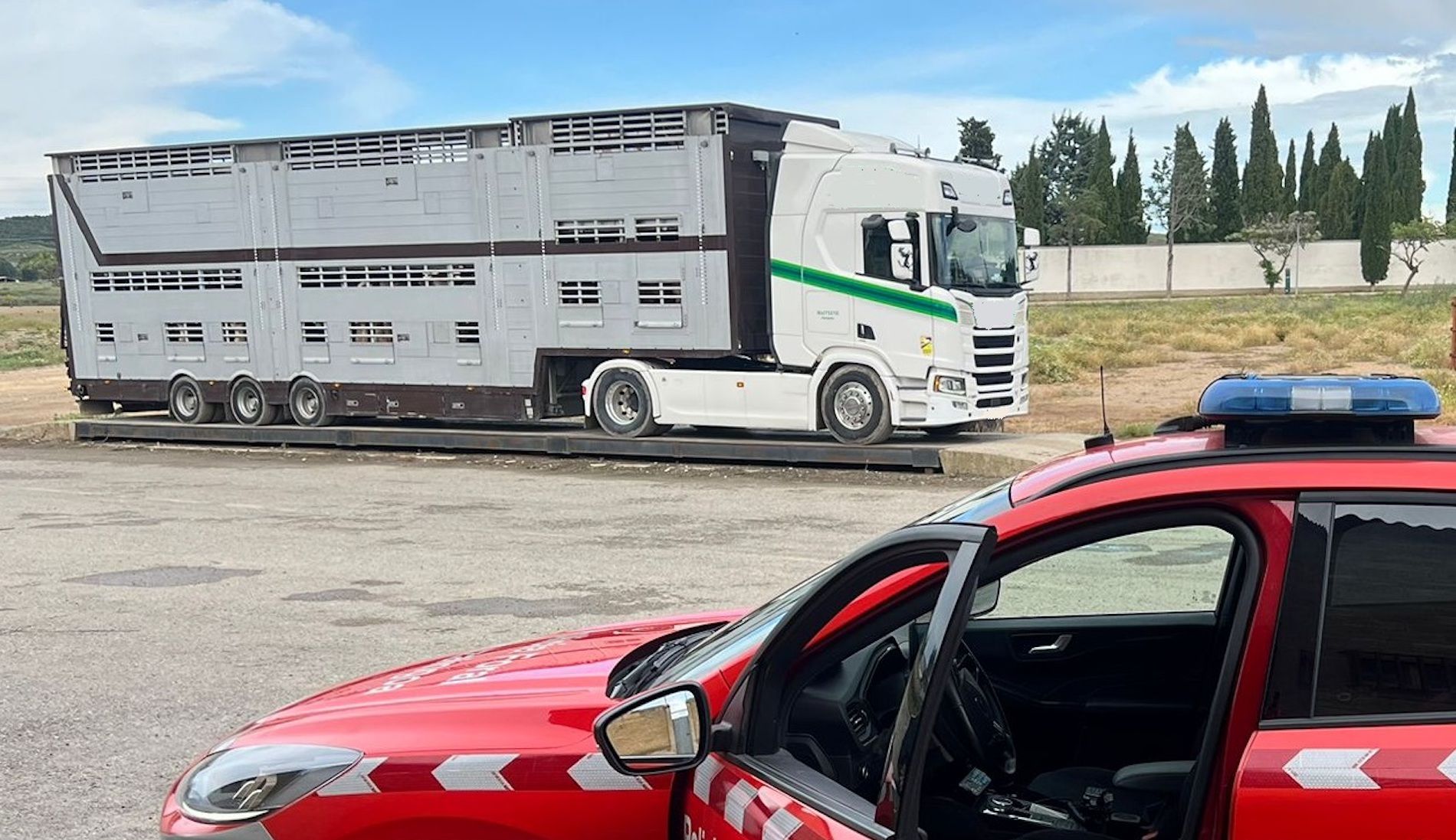 control pesaje camion ganado policia foral navarra