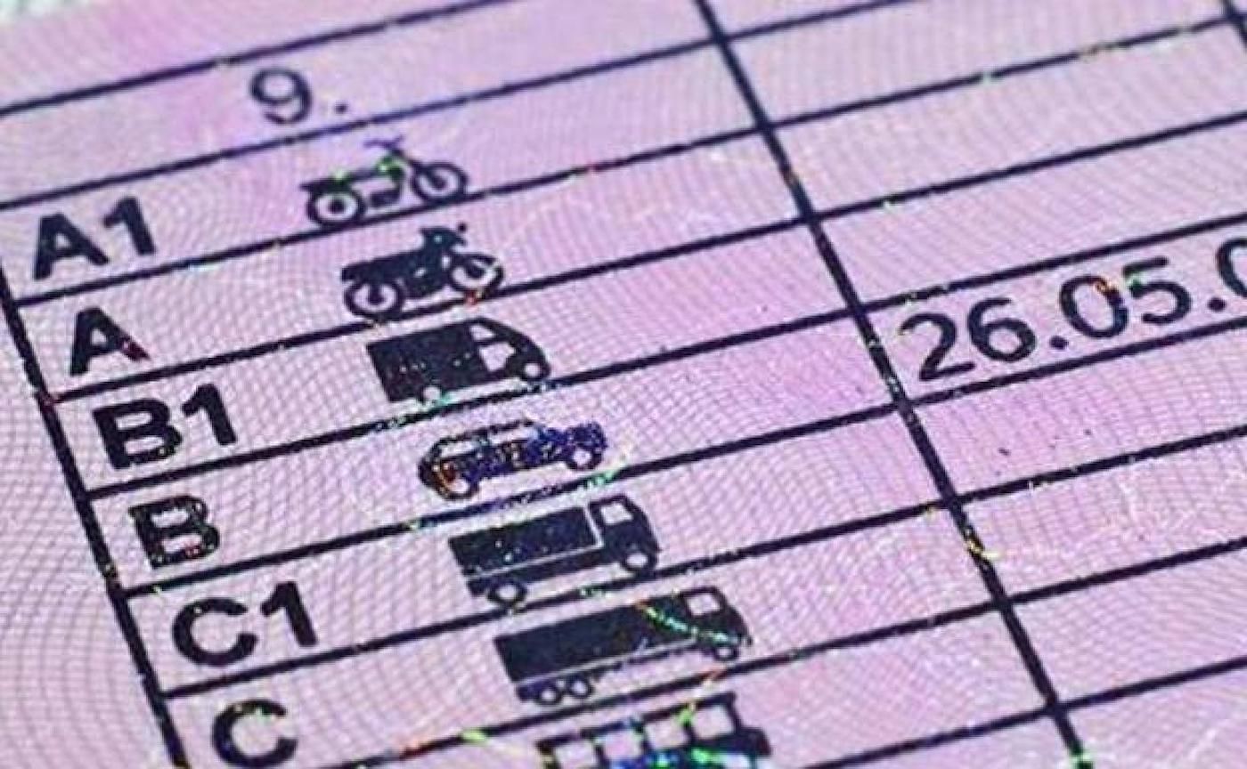 trasera carnet conducir