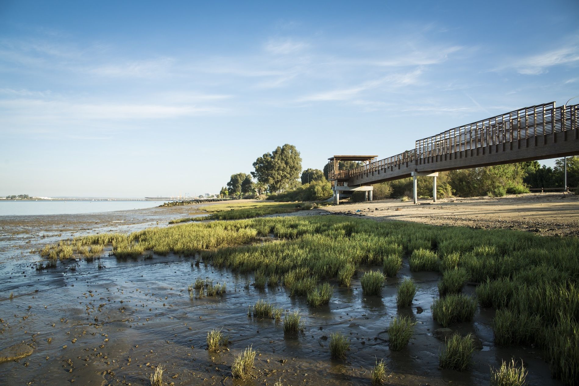 Marisma puerto Huelva