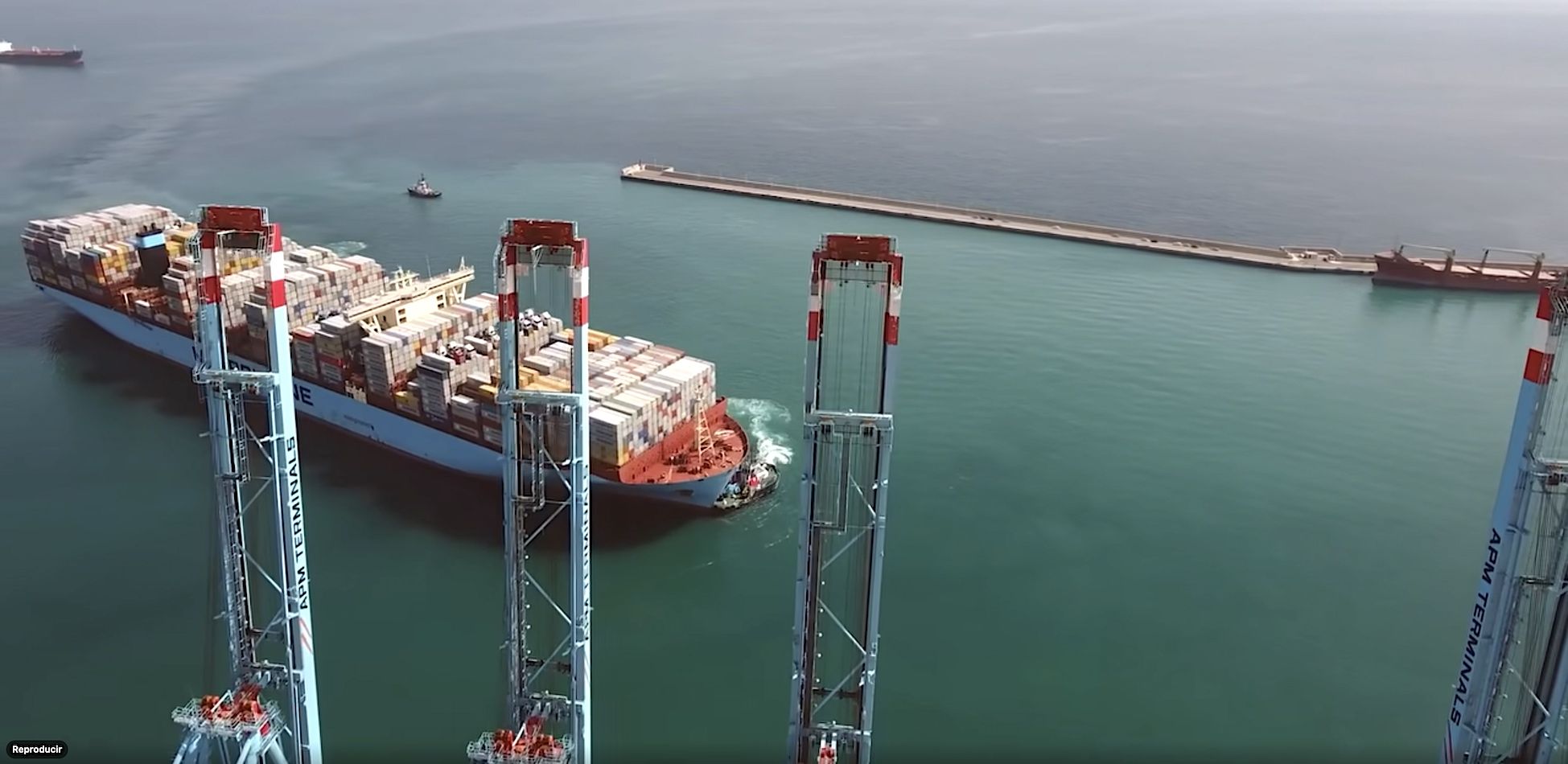 puerto Algeciras portacontenedores Maersk con gruas levantadas
