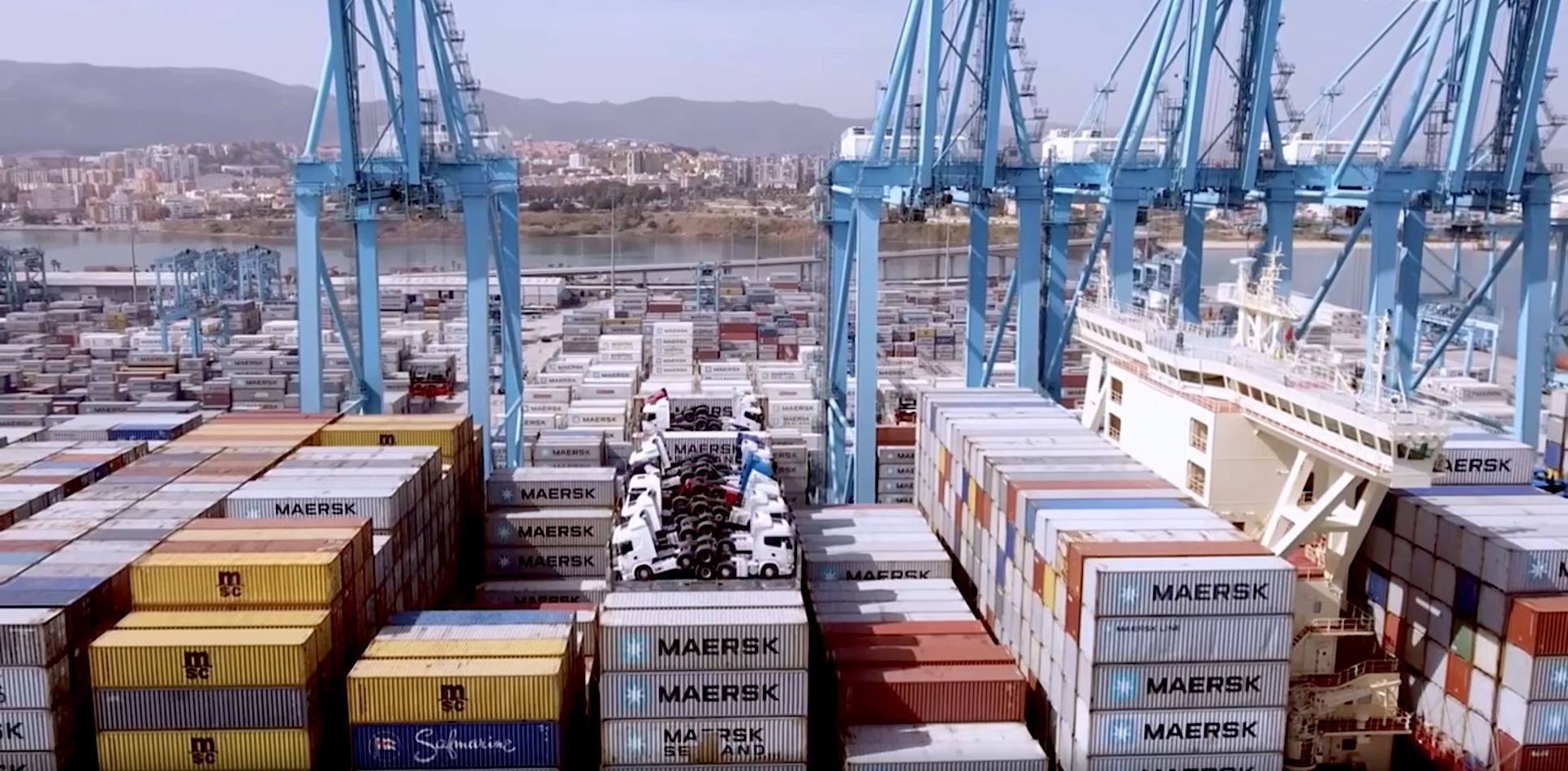 terminal APM Algeciras gruas y contenedores