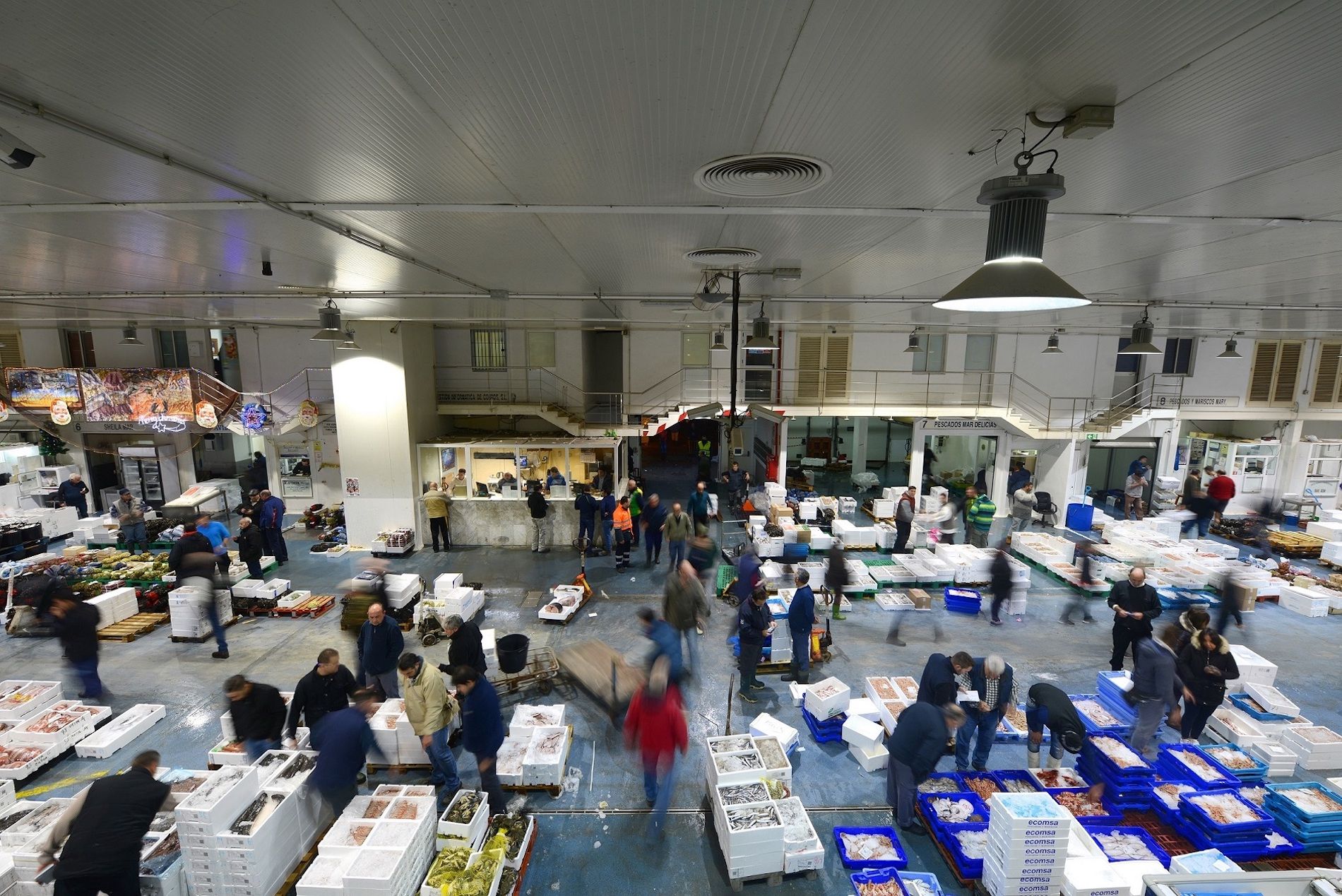 mercamalaga mercamalaga