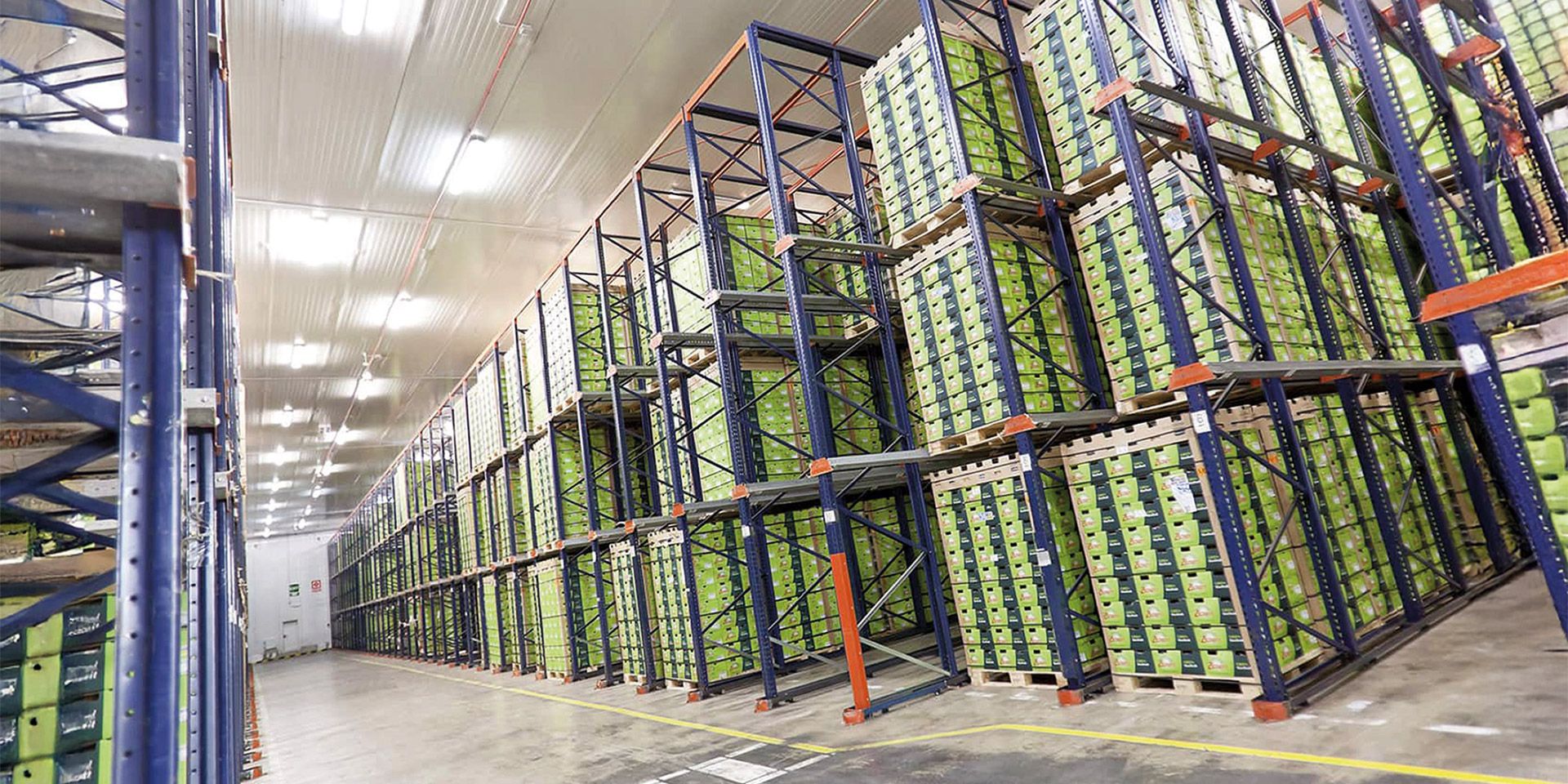 Fruta puerto Tarragona