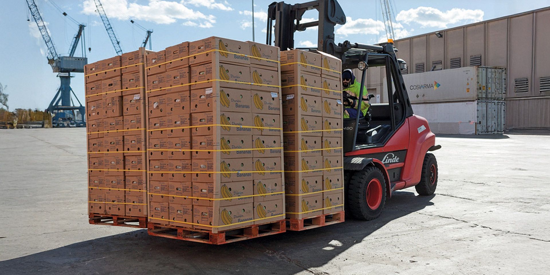 Carga fruta puerto Tarragona