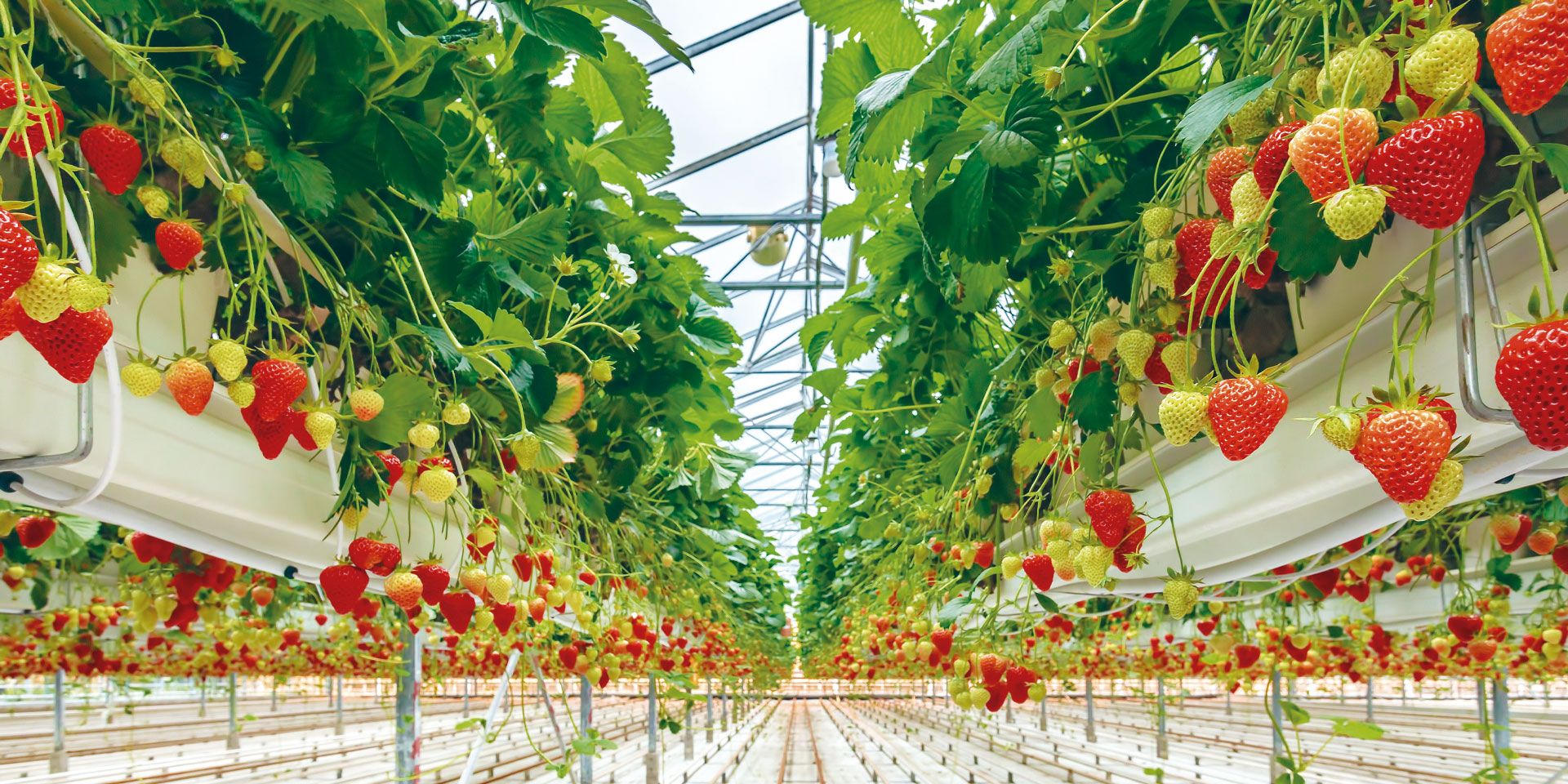 Xx x x x x x x x x x x x x x x x x x x x x. x x xx