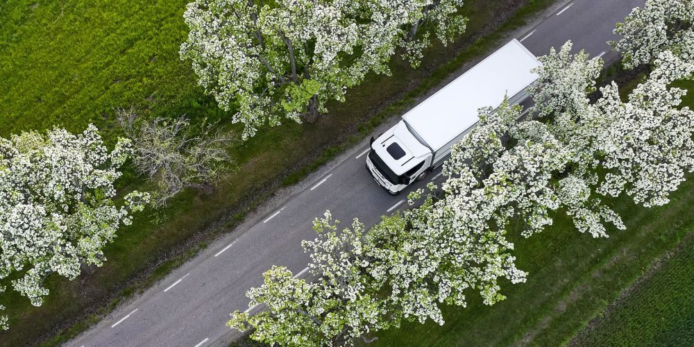 camion cenital secundaria