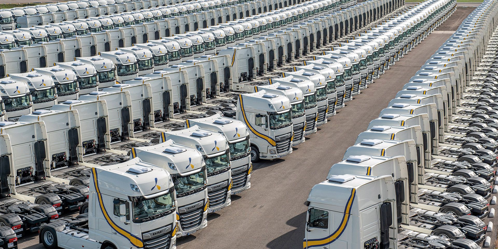 La compañía murciana ha hecho de la sostenibilidad y de la innovación dos de sus elementos diferenciadores.