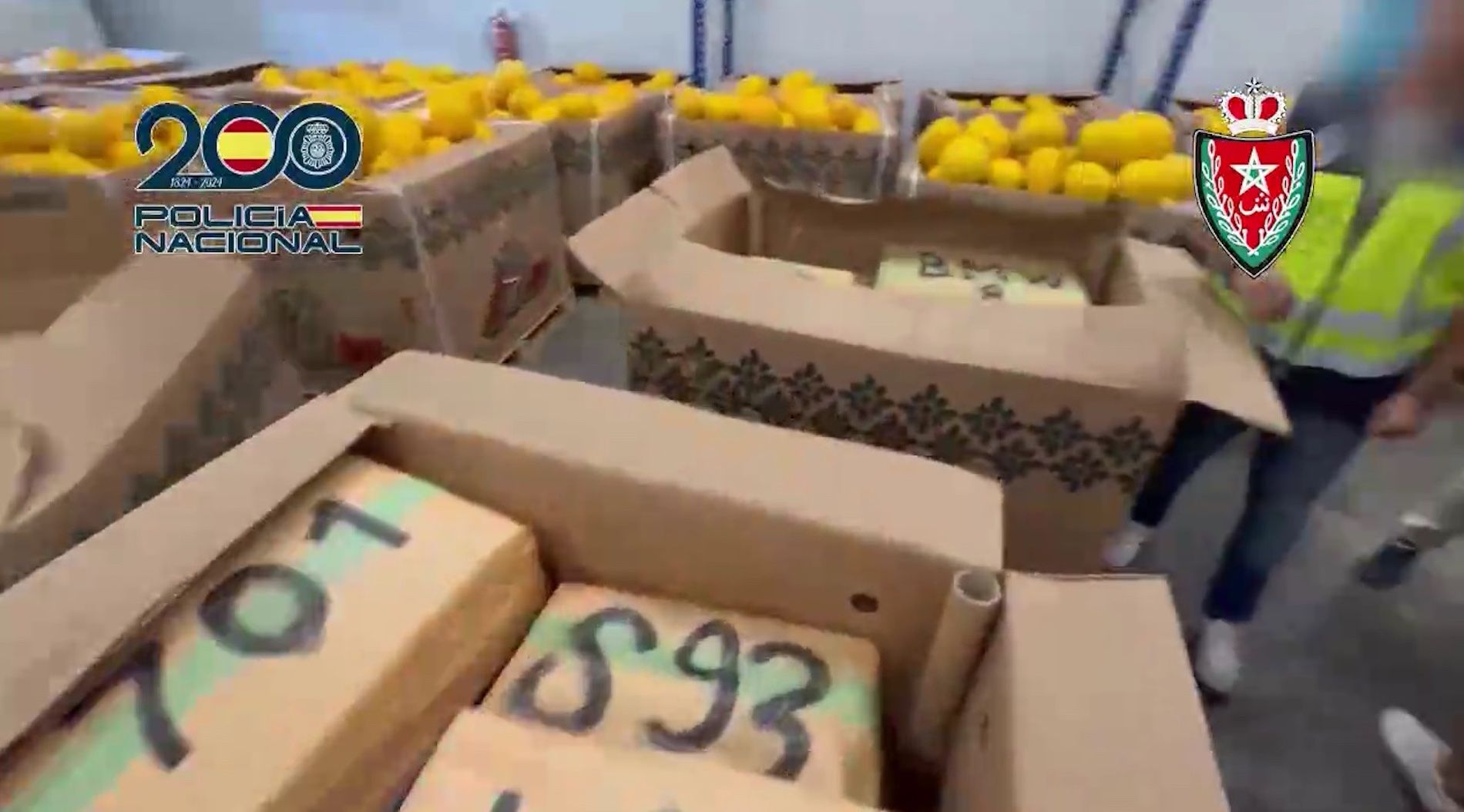 droga policia nacional frigo septiembre 2025