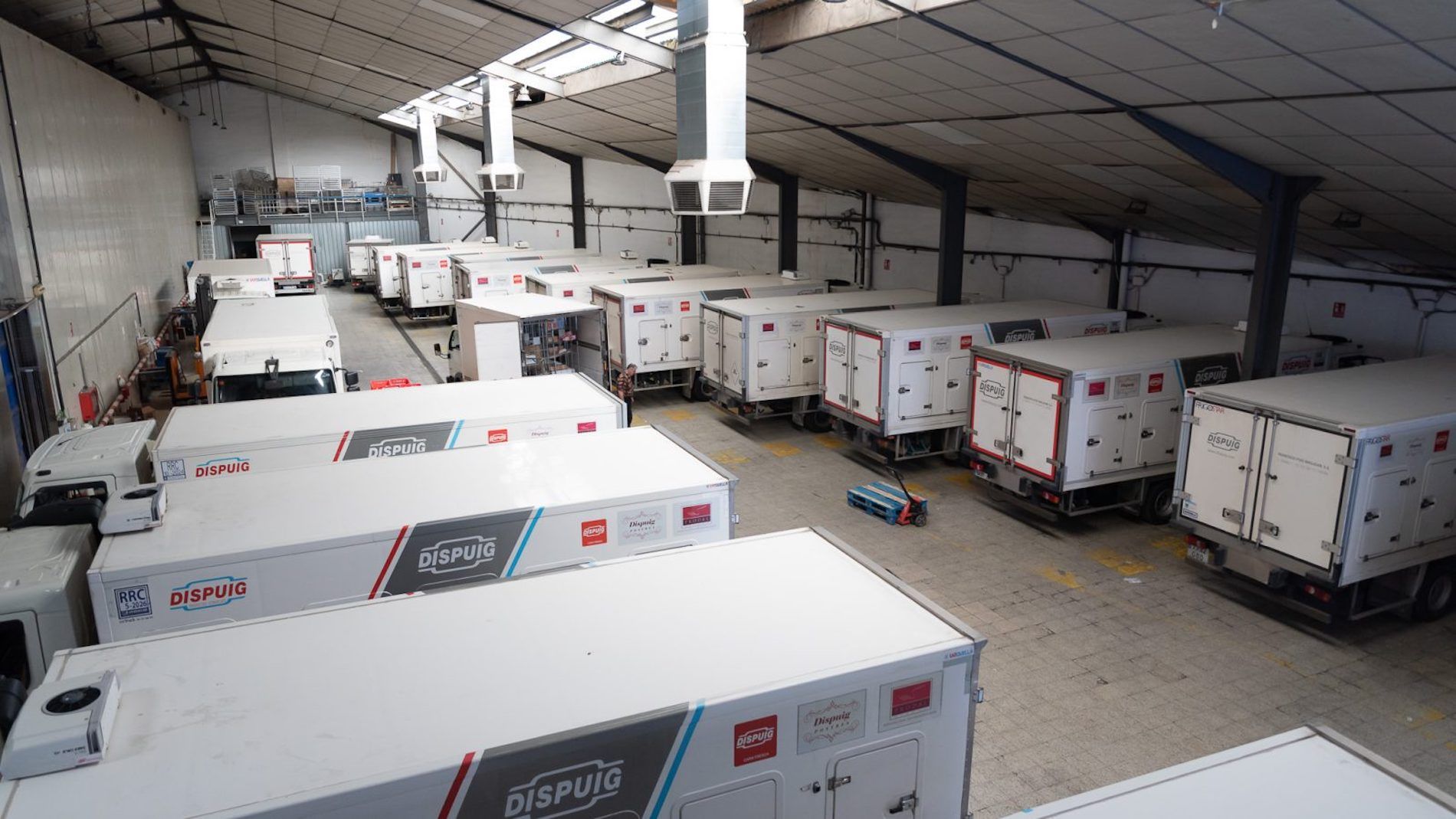 Dispuig se fundó en 1944.