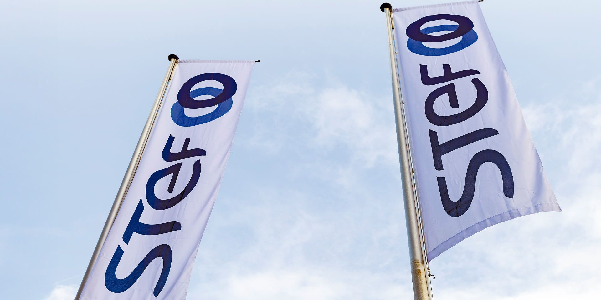 Las últimas adquisiciones están impulsando la actividad de Stef.