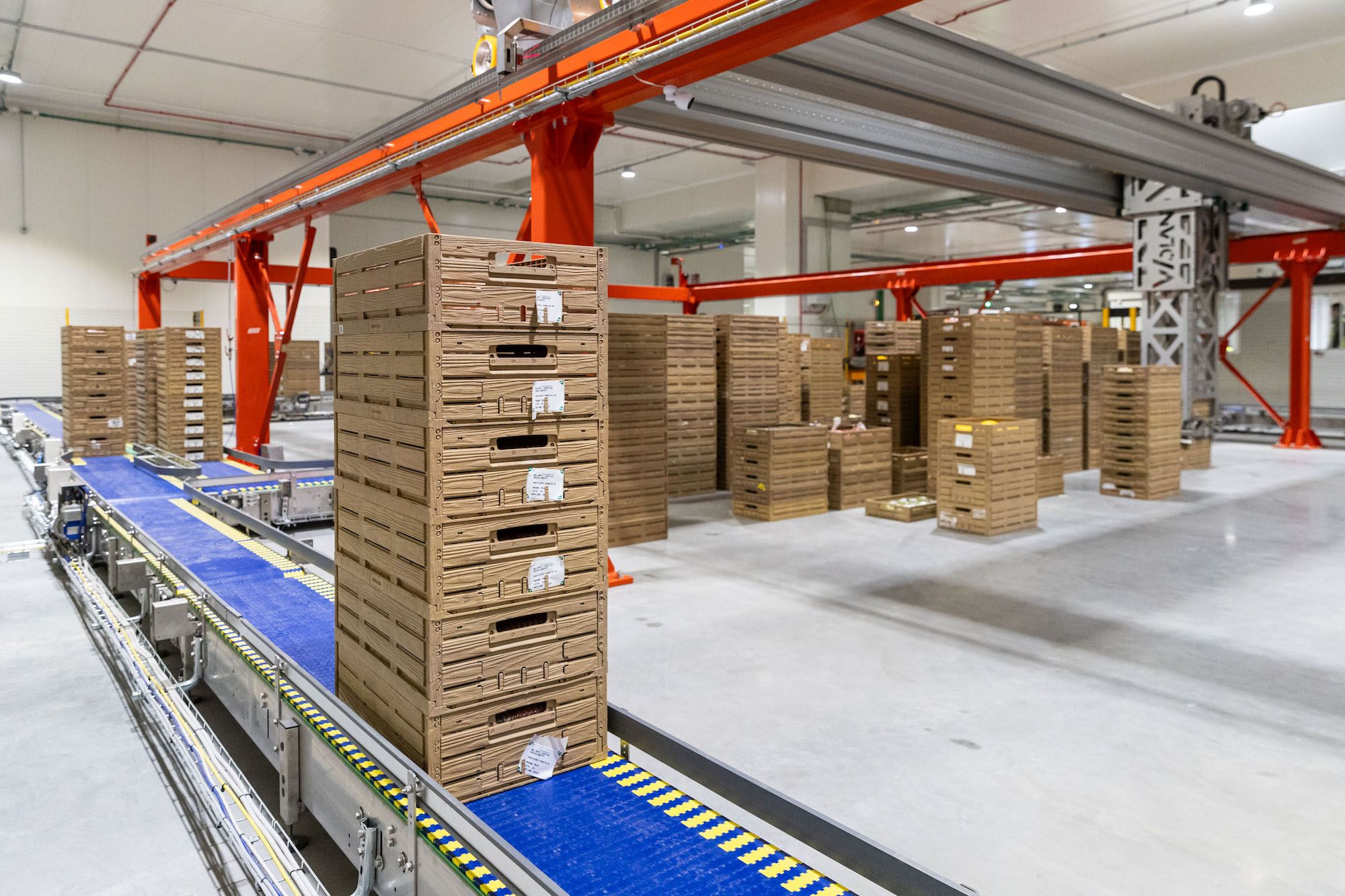 Tosca cajas plastico reutilizables para automatizacion 2 Tosca cajas plastico reutilizables para automatizacion 2