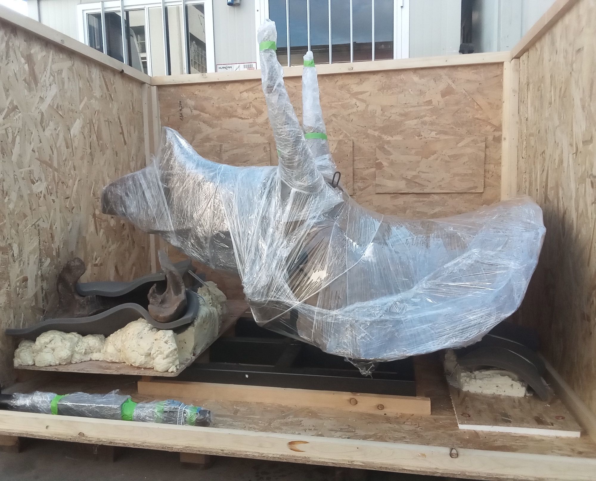 Embalaje a medida diseñado para proteger el cráneo del triceratops durante el transporte Créditos ZOIC Embalaje a medida diseñado para proteger el cráneo del triceratops durante el transporte Créditos ZOIC