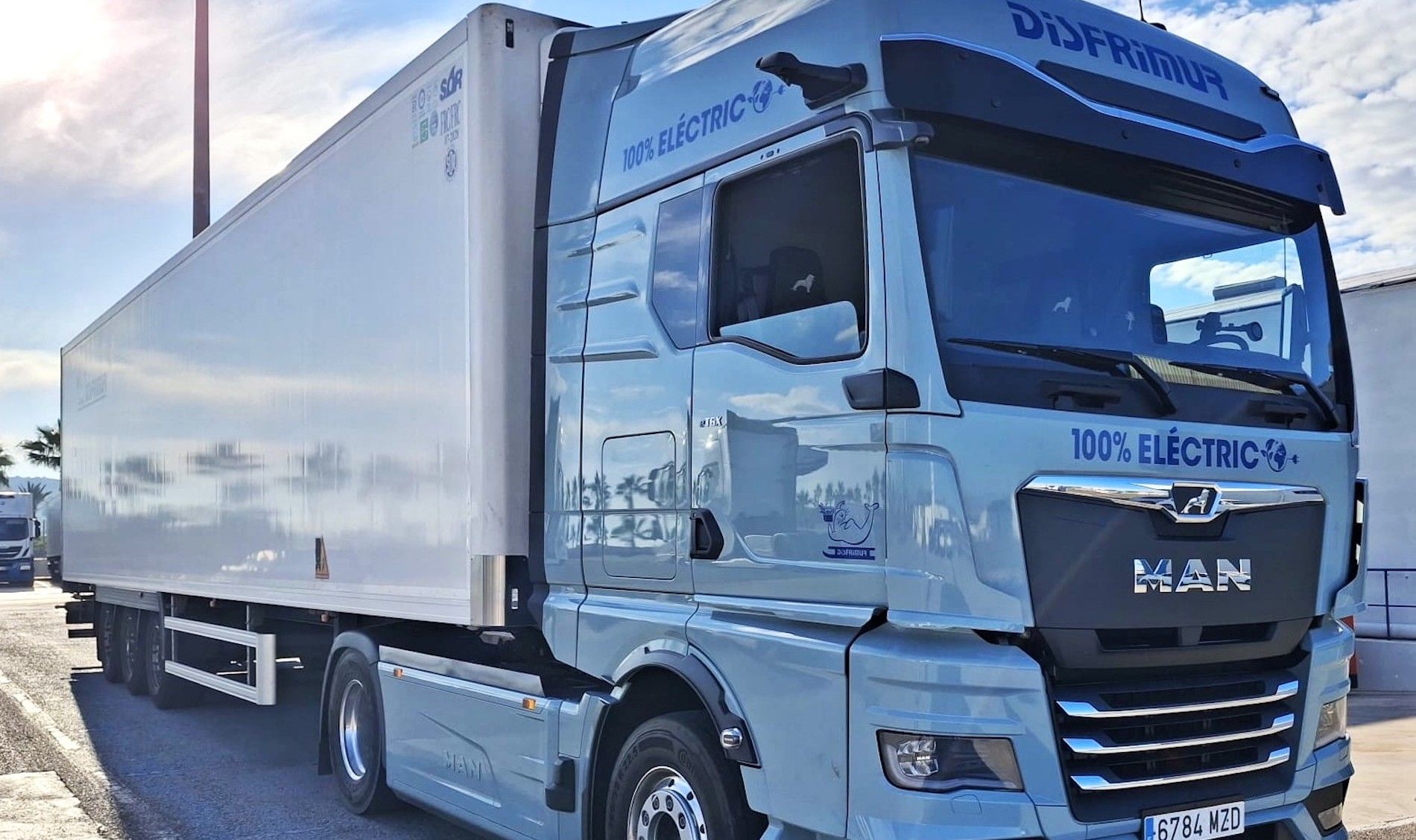 man electrico disfrimur