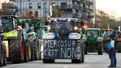 protestas-agricultores-franceses-fuente-fnsea_29_240x135