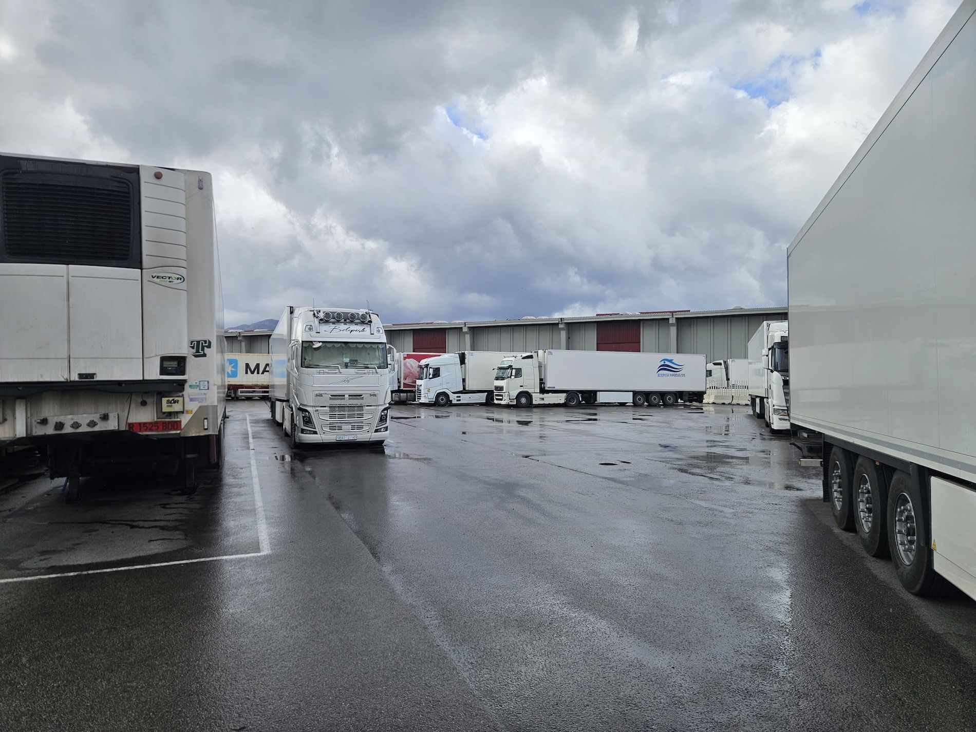 Transportes anticipa un estudio más profundo.