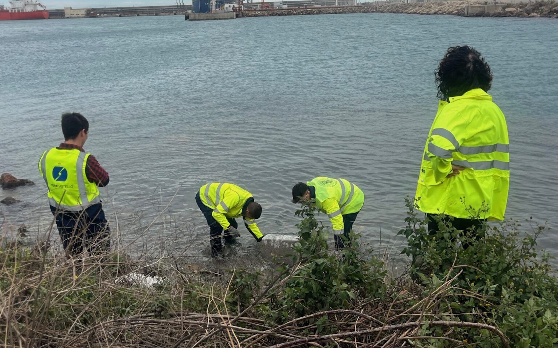 proyecto MU COAST puerto Castellon