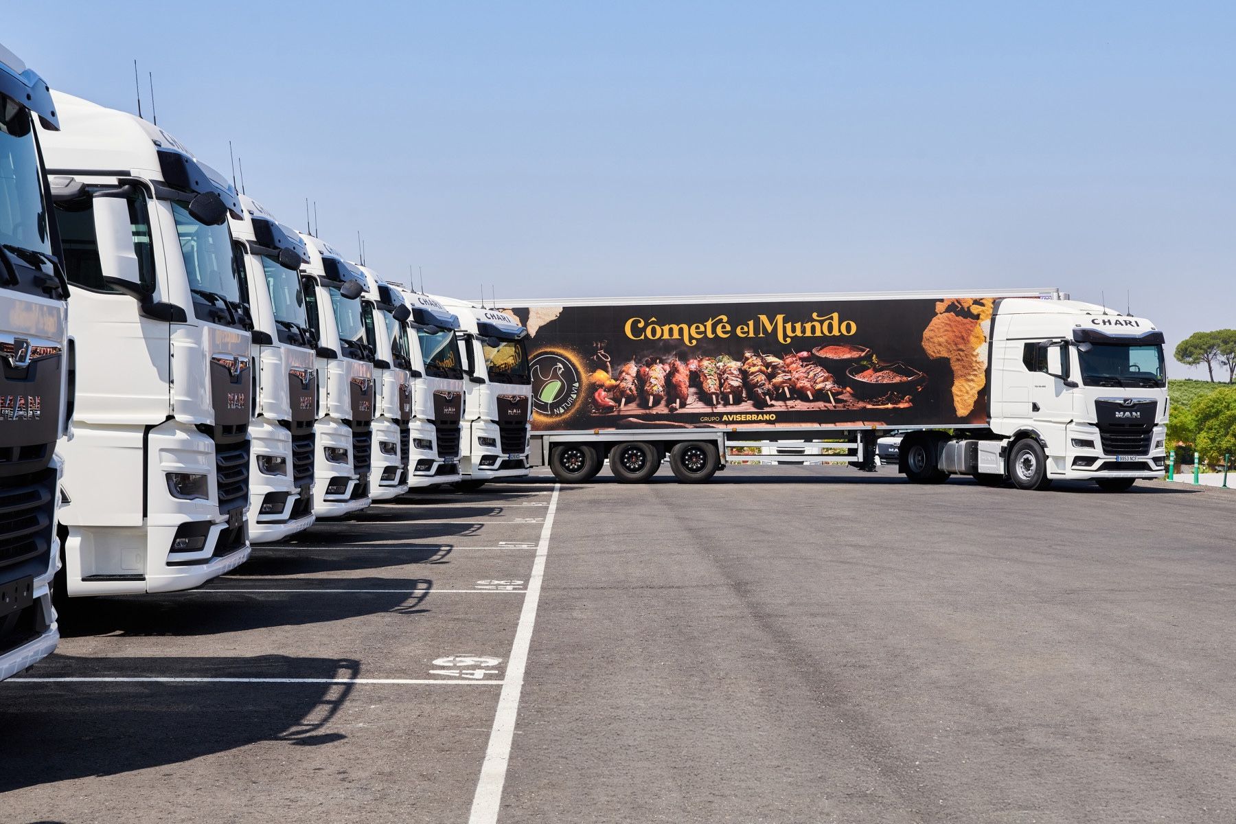 Camiones MAN TGX PowerLion Logialcor Camiones MAN TGX PowerLion Logialcor