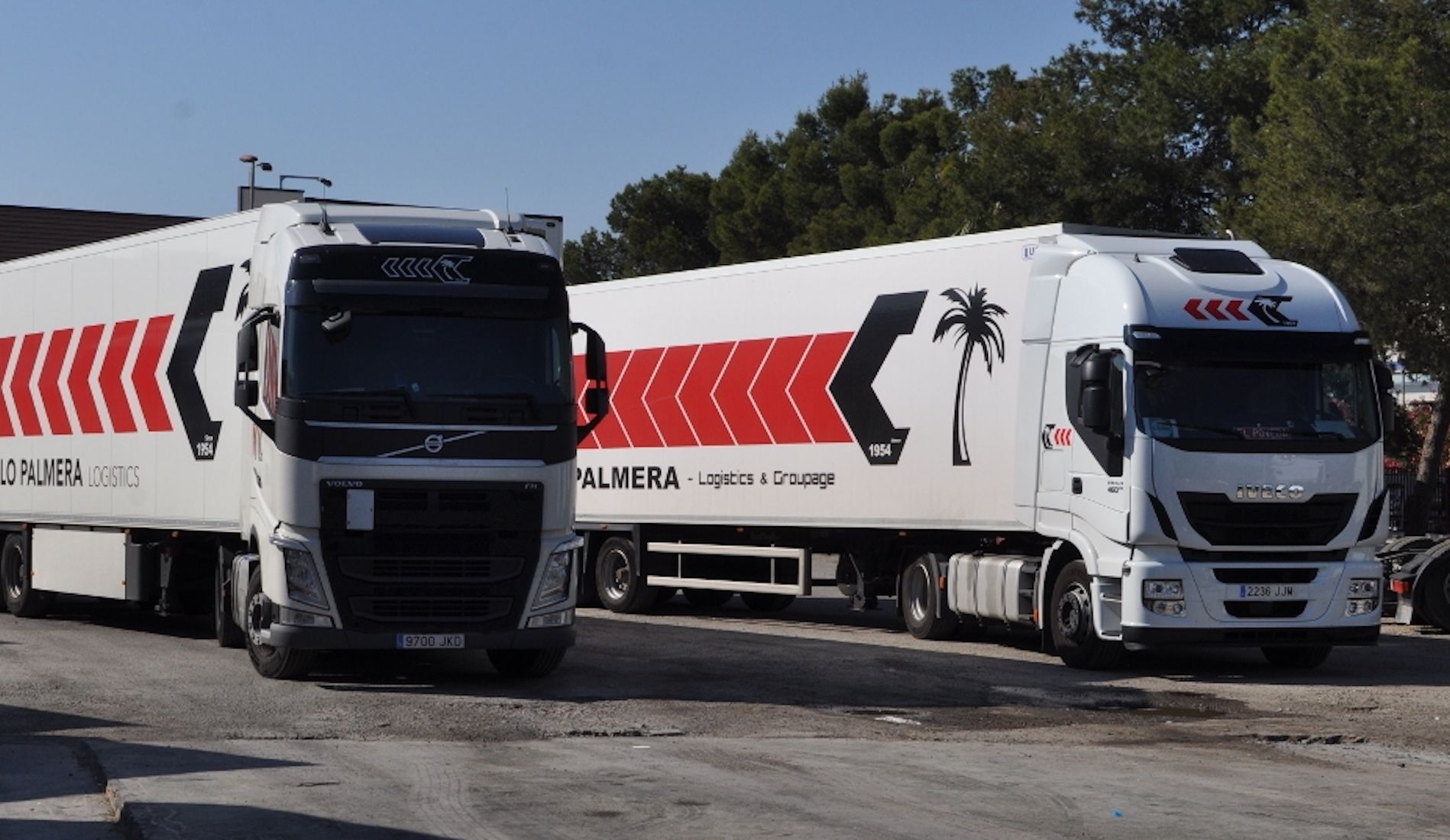 Campillo Palmera inició su actividad en 1954.