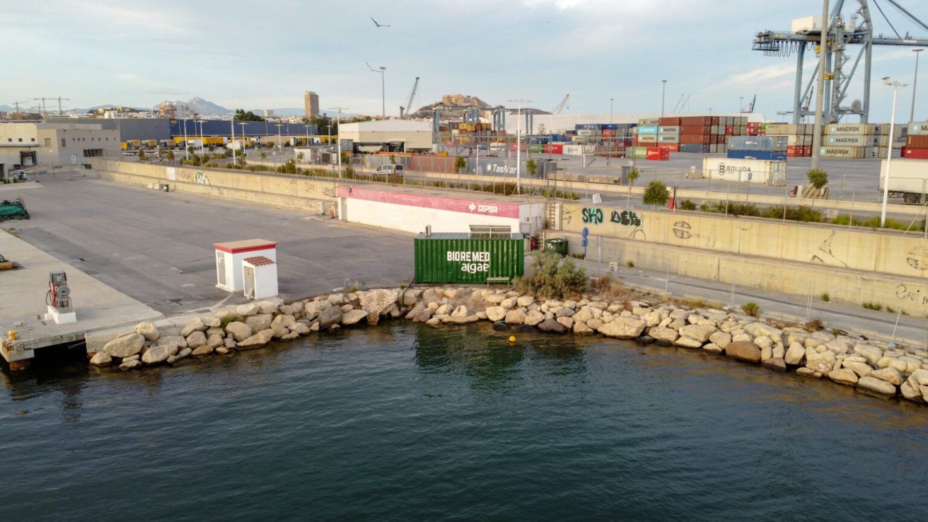 Mediterranean Algae se puso en Alicante en 2021.