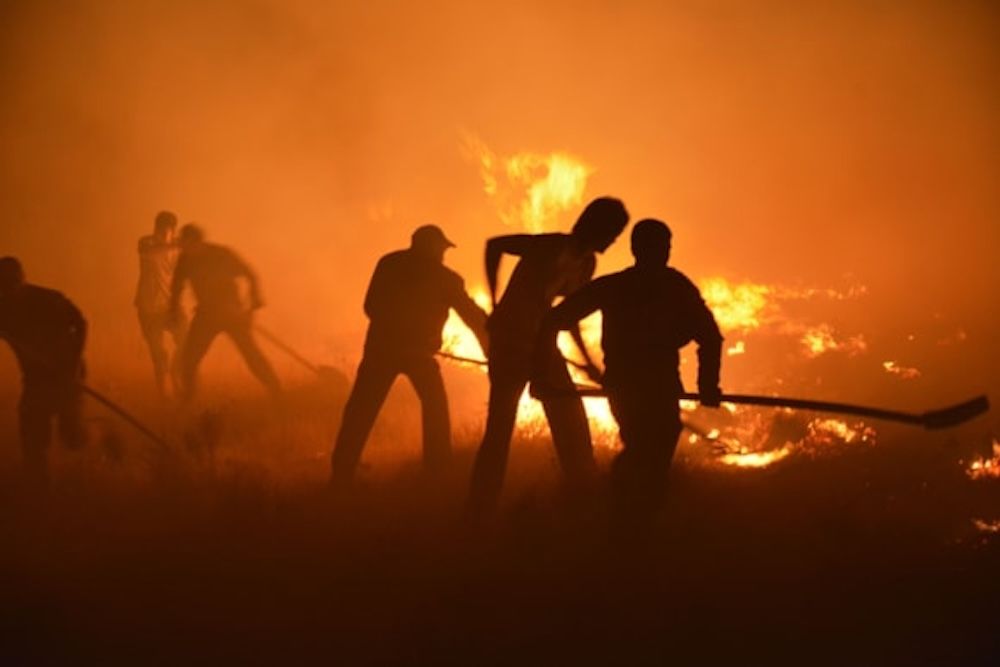SNAP incendio forestal