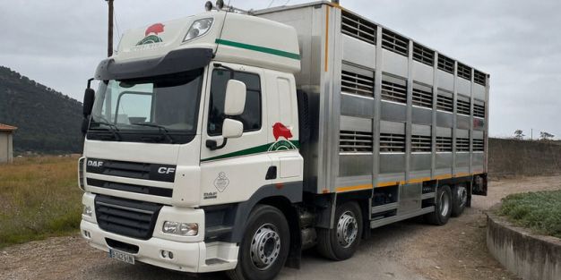 camion rigido jaula camion rigido jaula