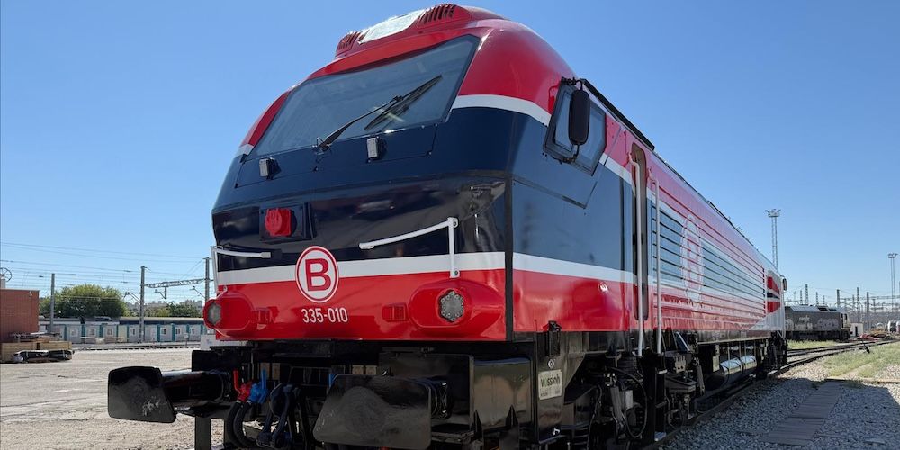 Boluda locomotora