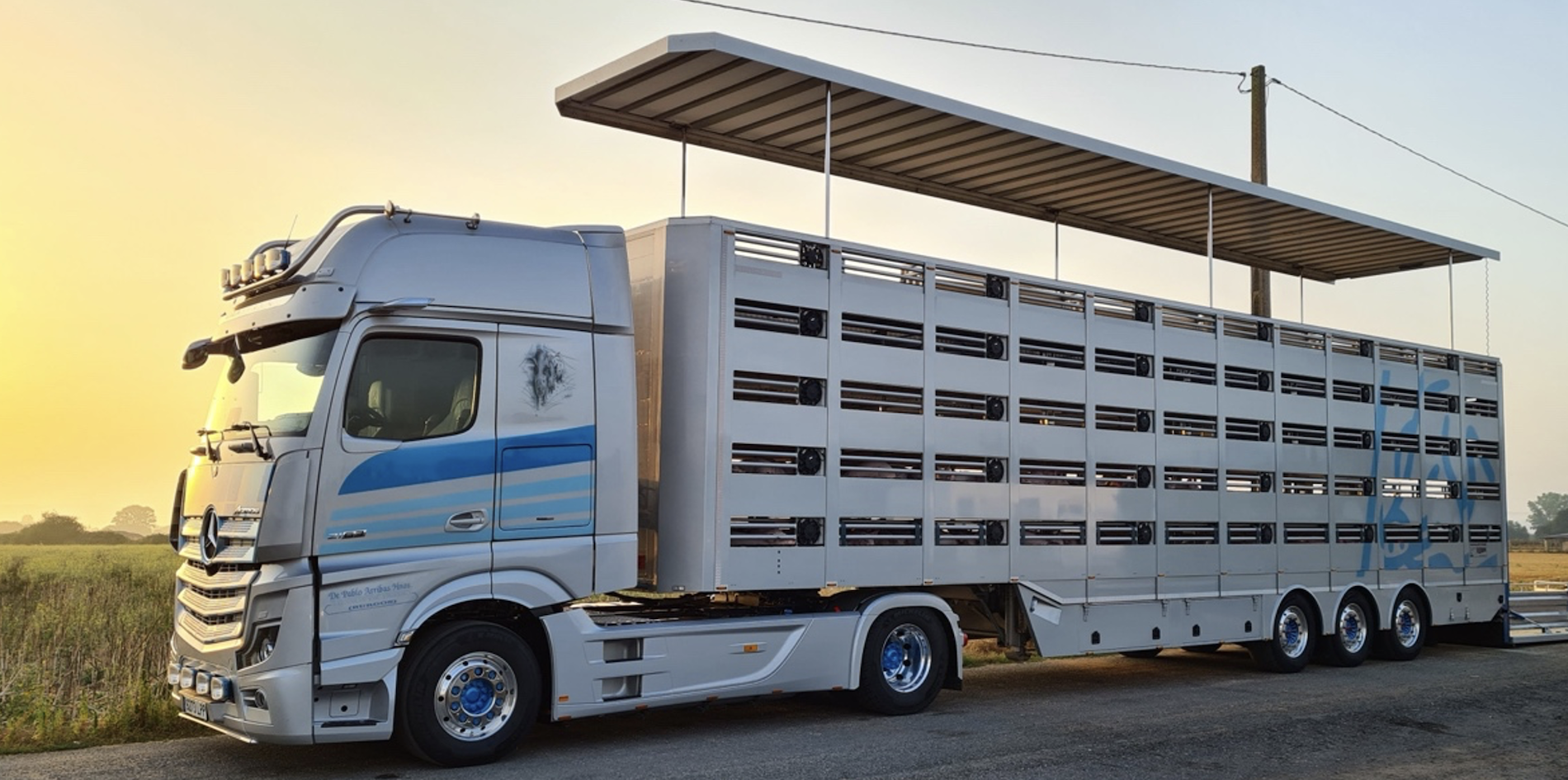 Transporte de animales vivos Transporte de animales vivos
