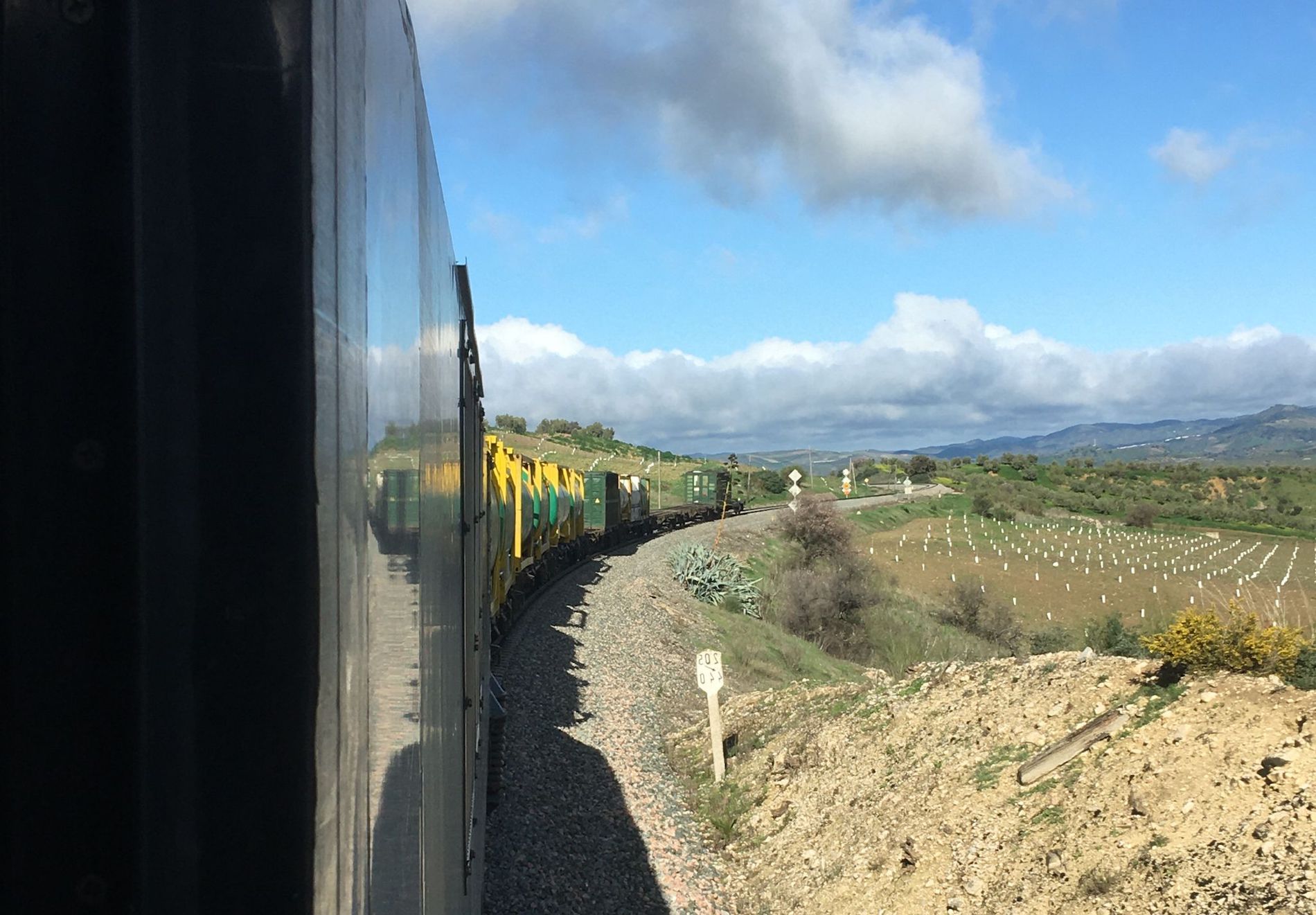 tren multirail