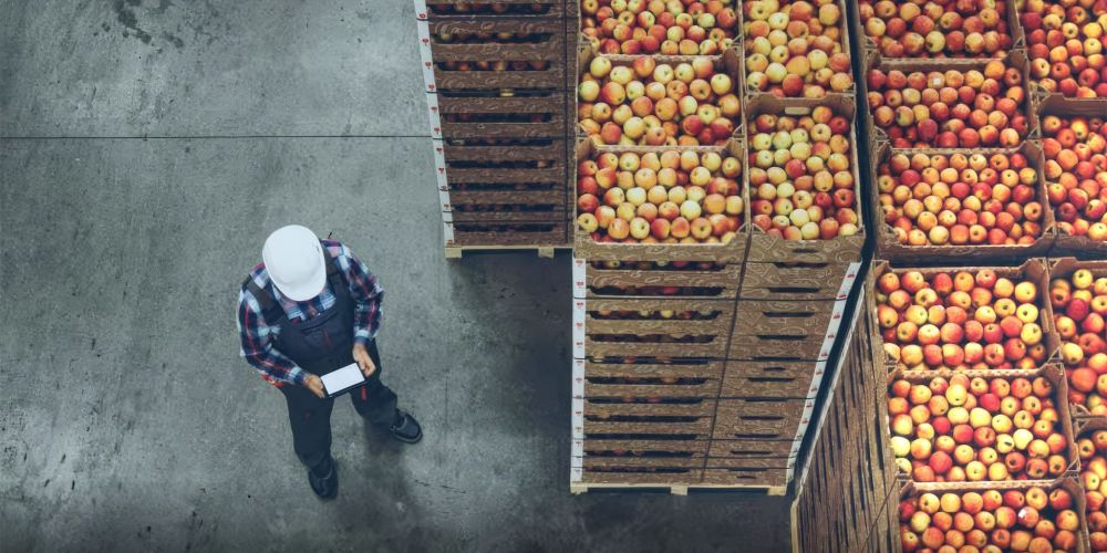Almacen fruta Maersk Almacen fruta Maersk