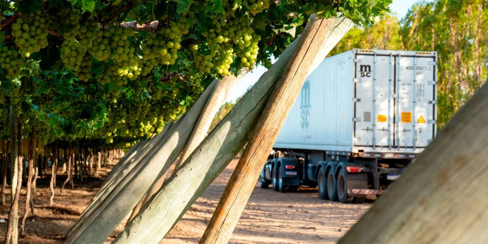 MSC vinas con camion MSC vinas con camion