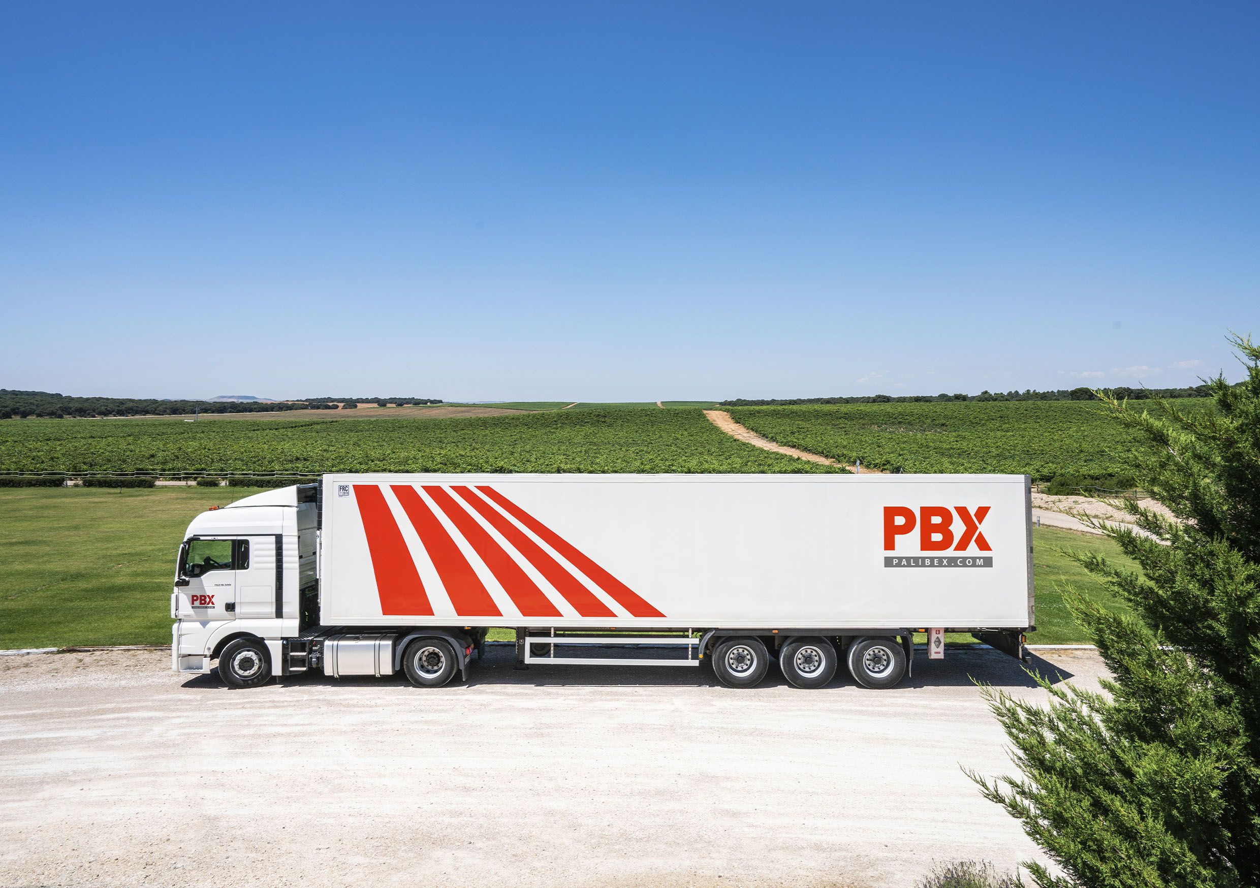 Eco Palet Truck Palibex