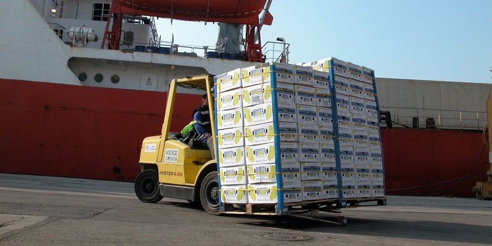 exportacion de frutas y hortalizas por los puertos espanoles