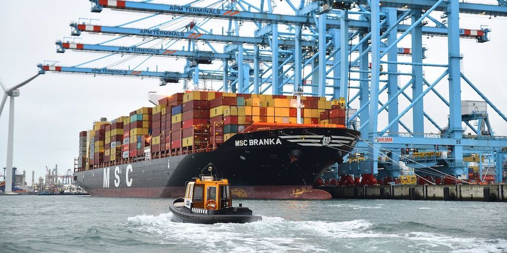 msc-branka-roeiers-rotterdam msc-branka-roeiers-rotterdam