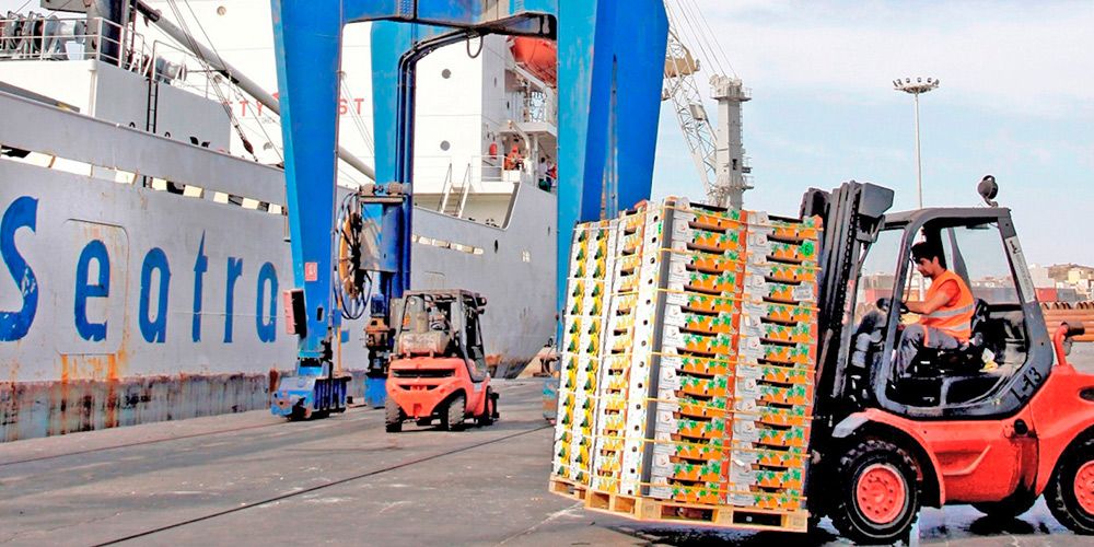 Manipulacion-de-Citricos-en-la-terminal-de-Cartagena Manipulacion-de-Citricos-en-la-terminal-de-Cartagena