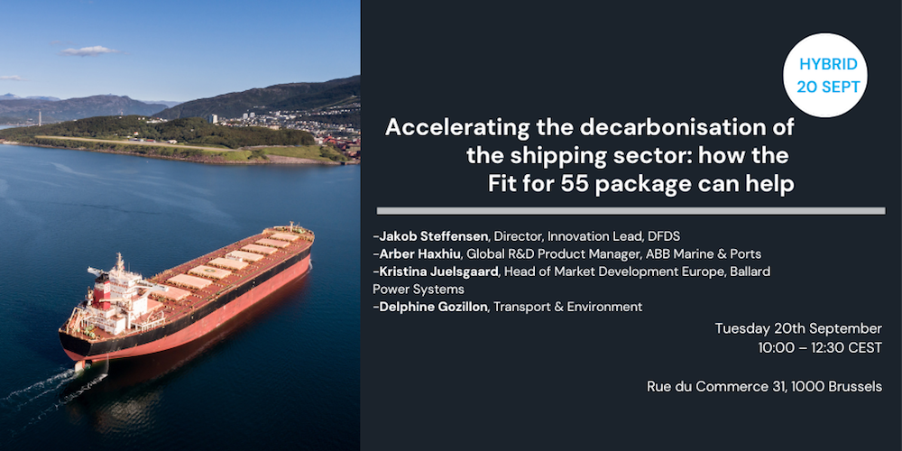 Webinar descarbonizacion Webinar descarbonizacion