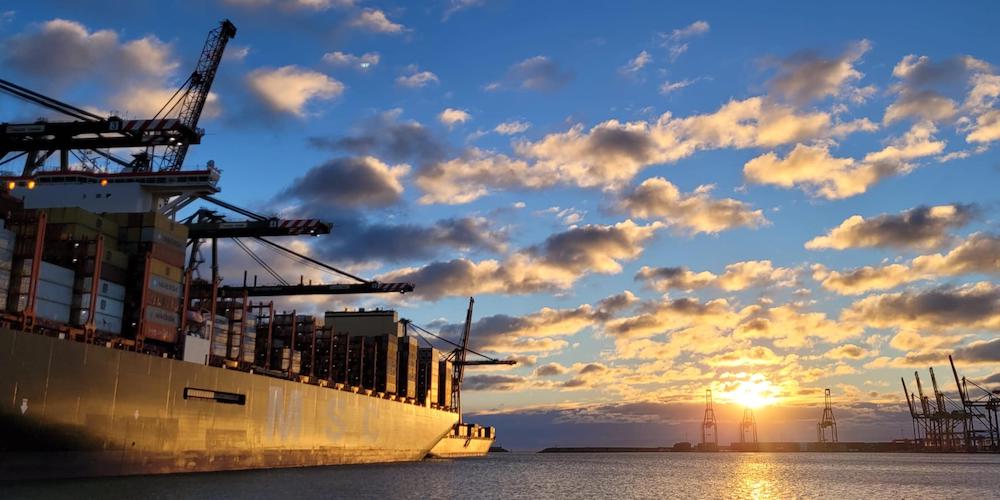 Algunas de las principales navieras a nivel mundial también han decidido utilizar el puerto de Valencia para el transbordo de mercancías.