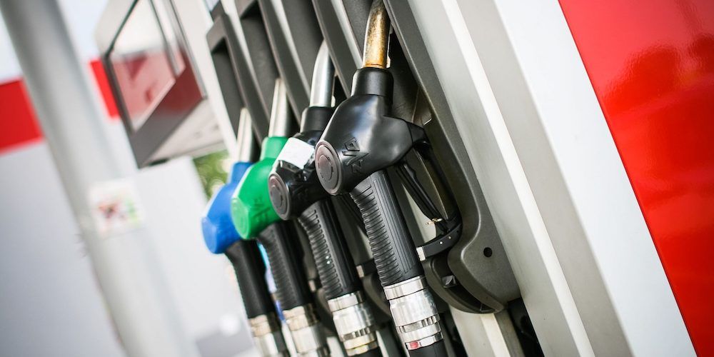 gaoleo profesional surtidores