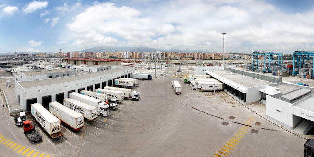 PIF puerto algeciras PIF puerto algeciras